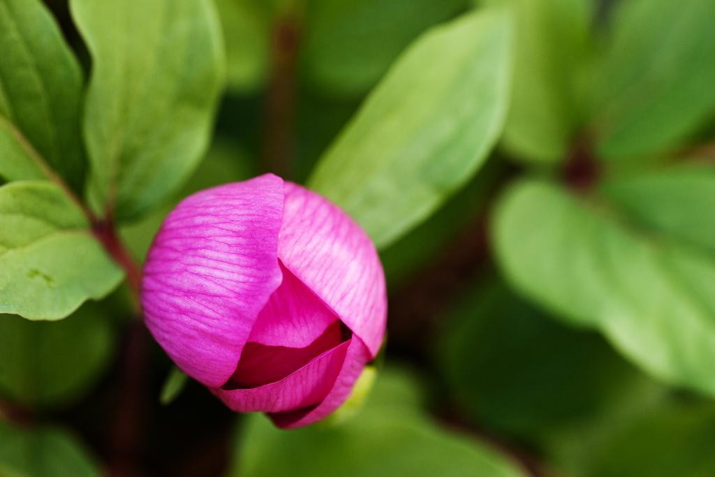 Tenute D'Onghia Gioia Del Colle Ngoại thất bức ảnh